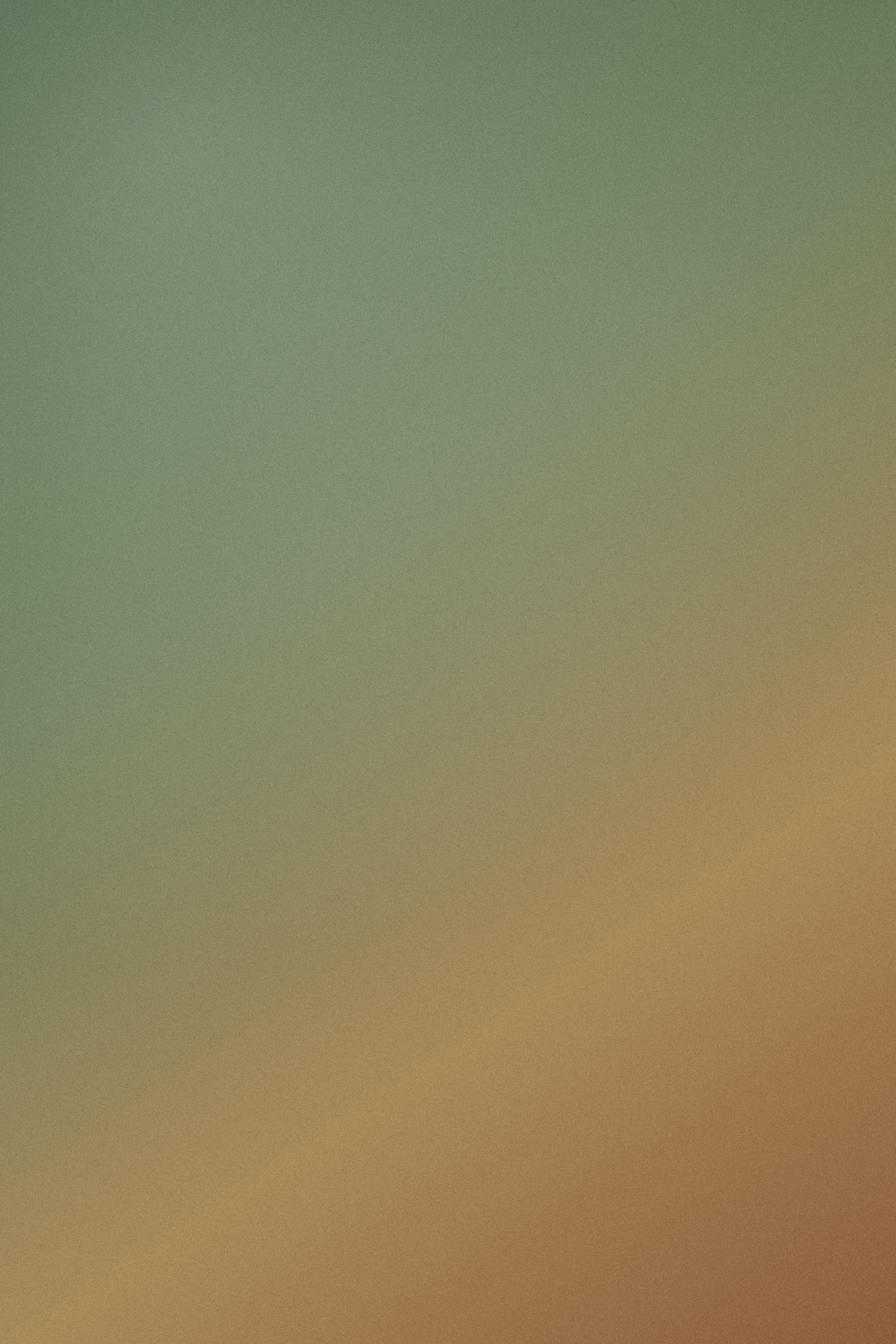 App screen / craft detail